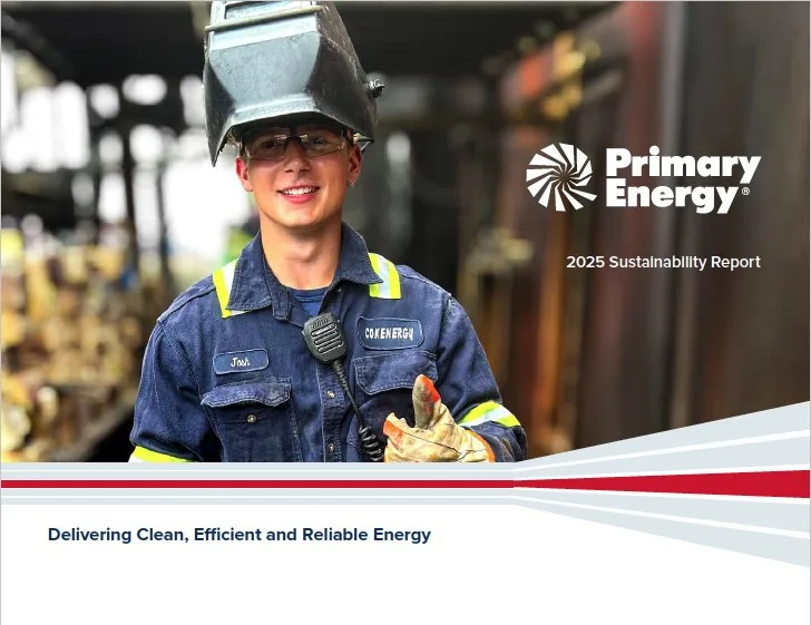 Primary Energy sustainability report